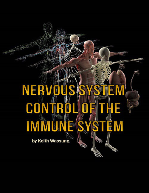 Chiropractic Greenville SC Nervous System Control Of The Immune System