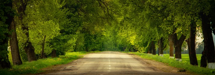 Auger Family Chiropractic in Taylors SC Auger Family Chiropractic in Taylors SC